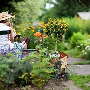Relaxdays Gartenzwerg mit Eichelkörbchen, wetterfest & frostsicher, Garten & Beet, klassisches Design, Gartenfigur, bunt - 3