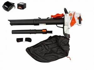 STIHL Akku Saughäcksler SHA 56 (+ Akku AK20 + AL101 Ladegerät) - 1