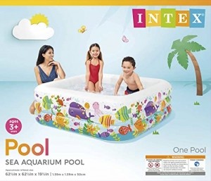 Intex See Aquarium Pool - Kinder Aufstellpool - Planschbecken - 159 x 159 x 50 cm - Für 3+ Jahre - 4